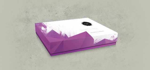 Acad�mie C&C maquillage, cr�ation de la charte graphique